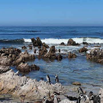 南非10日7晚跟团游 南非10日7晚跟团游
