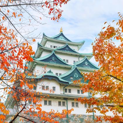 富山+白川乡+京都+大阪+奈良+富士山+东京+立山黑部阿尔卑斯山脉8日私家团 富山+白川乡+京都+大阪+奈良+富士山+东京+立山黑部阿尔卑斯山脉8日私家团