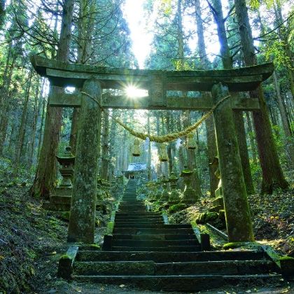 日本福冈+太宰府天满宫+武雄温泉+嬉野温泉+阿苏山+上色见熊野座神社+熊本+别府+由布院之森观光列车6日5晚私家团 日本福冈+太宰府天满宫+武雄温泉+嬉野温泉+阿苏山+上色见熊野座神社+熊本+别府+由布院之森观光列车6日5晚私家团