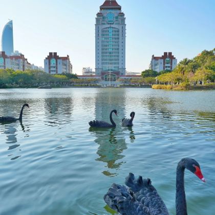 中国厦门5日4晚跟团游 中国厦门5日4晚跟团游