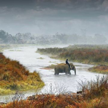 尼泊尔加德满都+博卡拉+奇旺+蓝毗尼7日6晚私家团 尼泊尔加德满都+博卡拉+奇旺+蓝毗尼7日6晚私家团