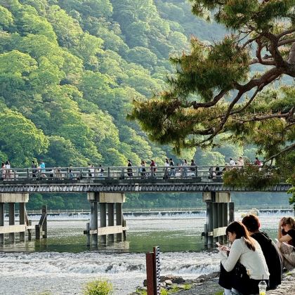 日本大阪+京都8日7晚私家团 日本大阪+京都8日7晚私家团