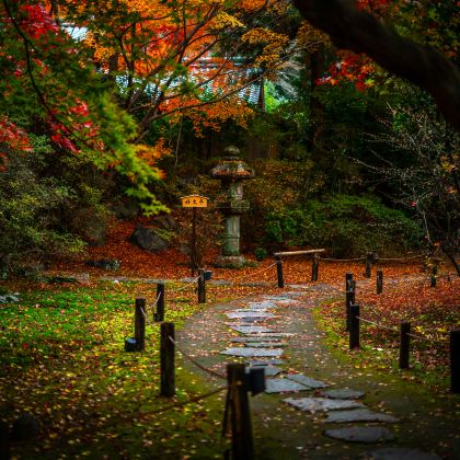 日本大阪+京都+奈良6日5晚拼小团 日本大阪+京都+奈良6日5晚拼小团