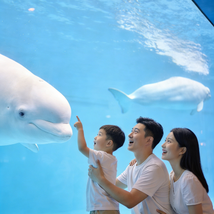 珠海长隆4日3晚私家团 珠海长隆4日3晚私家团