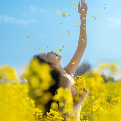 昆明+罗平+弥勒+蒙自+元阳+建水+抚仙湖7日6晚私家团 昆明+罗平+弥勒+蒙自+元阳+建水+抚仙湖7日6晚私家团