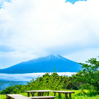 日本东京+富士山+伊豆市+修善寺6日5晚私家团 日本东京+富士山+伊豆市+修善寺6日5晚私家团