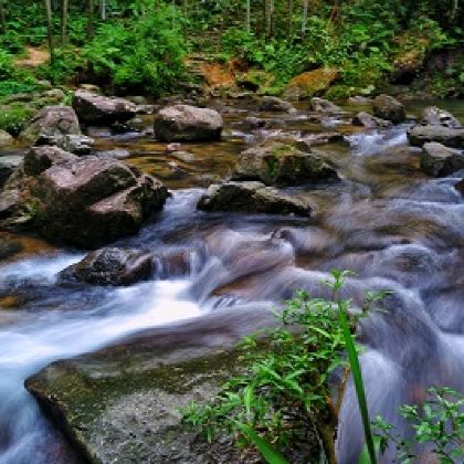 惠州南昆山云顶温泉+南昆山国家森林公园+南昆山川龙峡漂流2日1晚私家团