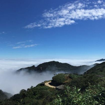 长沙+郴州+东江湖旅游区+龙景峡谷+高椅岭旅游区+中国第一银楼+莽山国家森林公园5日4晚跟团游