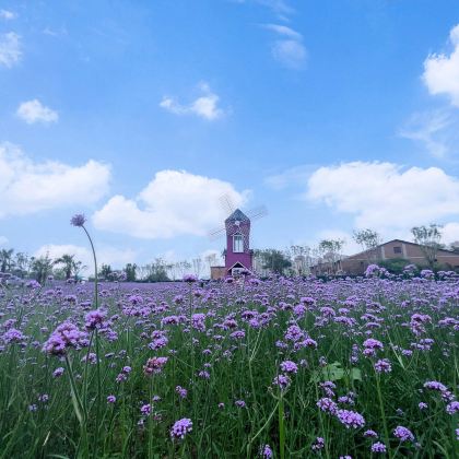 新乡2日1晚拼小团 新乡2日1晚拼小团