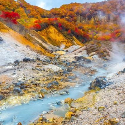 日本北海道+知床半岛+网走+富良野+钏路+札幌9日8晚私家团 日本北海道+知床半岛+网走+富良野+钏路+札幌9日8晚私家团