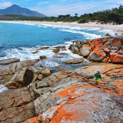 澳大利亚塔斯马尼亚+墨尔本11日拼小团 澳大利亚塔斯马尼亚+墨尔本11日拼小团