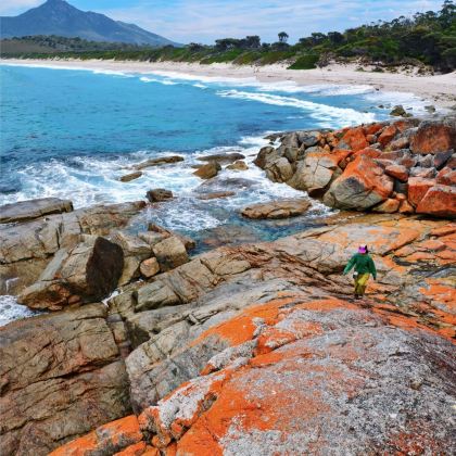 澳大利亚塔斯马尼亚+墨尔本11日拼小团 澳大利亚塔斯马尼亚+墨尔本11日拼小团