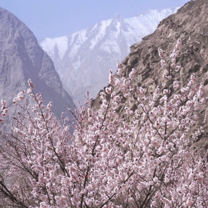 新疆乌鲁木齐+南疆+喀什市+库车10日9晚跟团游 新疆乌鲁木齐+南疆+喀什市+库车10日9晚跟团游