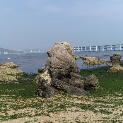 大连3日2晚私家团 大连3日2晚私家团