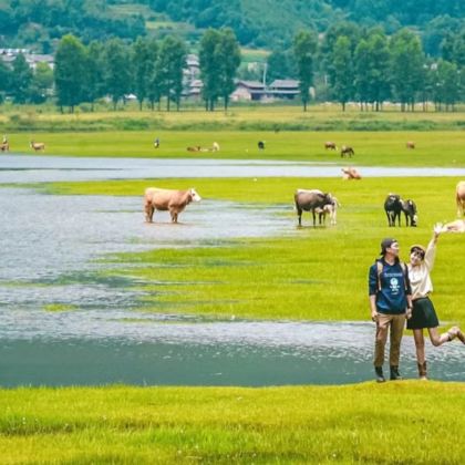 丽江+大理市+香格里拉+泸沽湖8日7晚私家团