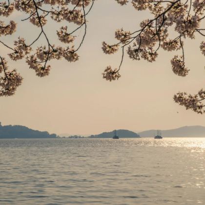 江苏常州+无锡+天目湖南山竹海+中华恐龙园+鼋头渚+惠山古镇+南长街4日3晚私家团 江苏常州+无锡+天目湖南山竹海+中华恐龙园+鼋头渚+惠山古镇+南长街4日3晚私家团