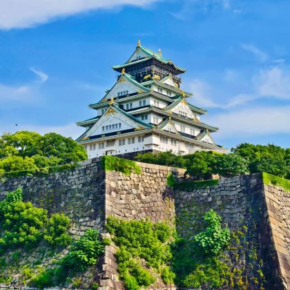 日本和歌山市+白滨町+大阪4日3晚拼小团 日本和歌山市+白滨町+大阪4日3晚拼小团