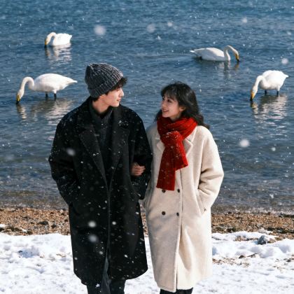 青岛+威海+烟台+蓬莱区5日4晚跟团游 青岛+威海+烟台+蓬莱区5日4晚跟团游