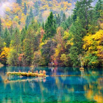 九寨沟+三星堆博物馆2日1晚拼小团 九寨沟+三星堆博物馆2日1晚拼小团