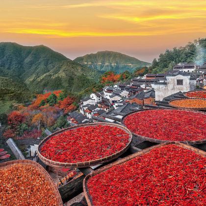 黄山+婺源篁岭+宏村4日3晚私家团 黄山+婺源篁岭+宏村4日3晚私家团
