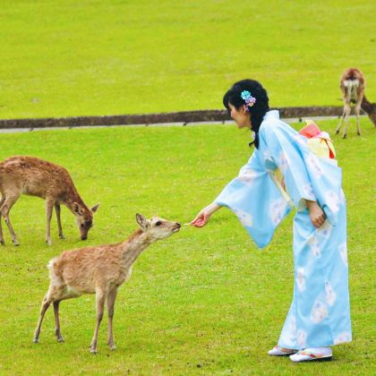 日本大阪+京都+奈良市7日6晚拼小团 日本大阪+京都+奈良市7日6晚拼小团