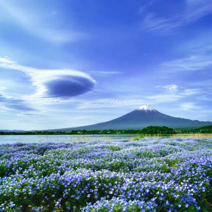 日本东京+富士山+箱根2日1晚私家团 日本东京+富士山+箱根2日1晚私家团