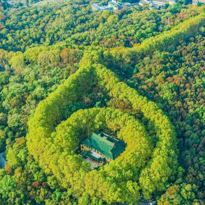 南京+苏州+乌镇+杭州5日4晚私家团 南京+苏州+乌镇+杭州5日4晚私家团