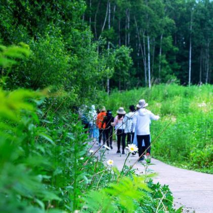 哈尔滨+长白山5日4晚私家团 哈尔滨+长白山5日4晚私家团