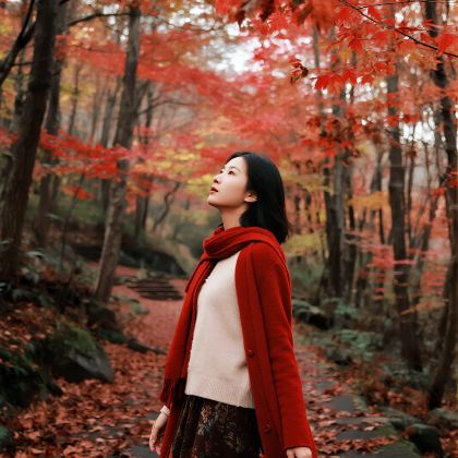 成都+阆中古城+巴中+光雾山旅游景区+米仓山国家森林公园+十八月潭景区6日5晚私家团 成都+阆中古城+巴中+光雾山旅游景区+米仓山国家森林公园+十八月潭景区6日5晚私家团