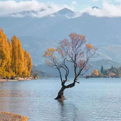 新西兰6日5晚私家团 新西兰6日5晚私家团