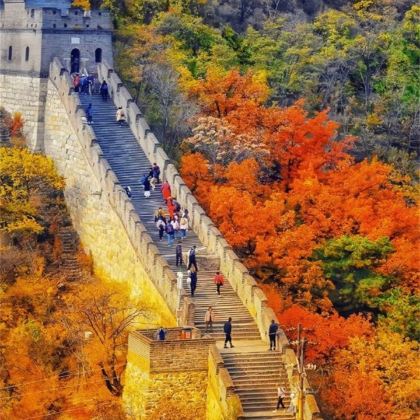 北京5日4晚跟团游 北京5日4晚跟团游