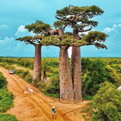 马达加斯加8日7晚私家团 马达加斯加8日7晚私家团