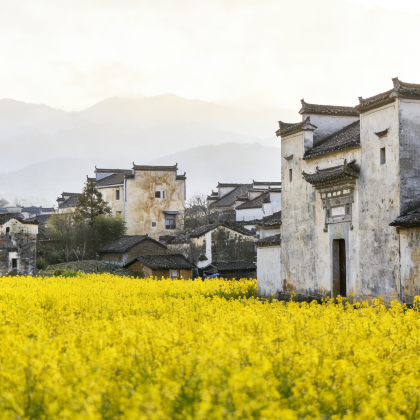 宏村+西递+徽州古城2日1晚跟团游 宏村+西递+徽州古城2日1晚跟团游