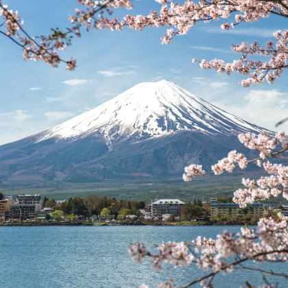 日本东京+镰仓市+富士山+箱根+伊豆6日5晚私家团