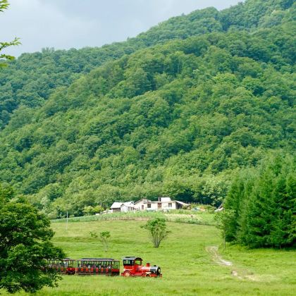 长江三峡+武当山+神农架+恩施市9日8晚跟团游 长江三峡+武当山+神农架+恩施市9日8晚跟团游