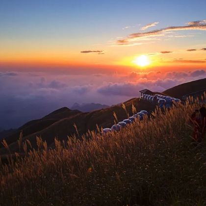 江西宜春明月山旅游区+羊狮慕风景区+萍乡武功山风景区4日3晚拼小团 江西宜春明月山旅游区+羊狮慕风景区+萍乡武功山风景区4日3晚拼小团