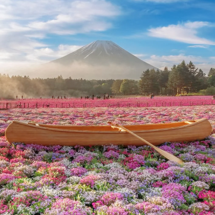 日本东京+富士山+大阪+京都+奈良市7日6晚跟团游 日本东京+富士山+大阪+京都+奈良市7日6晚跟团游