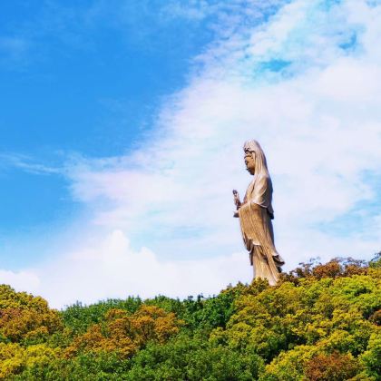 普陀山+普济禅寺+33米高南海观音+佛顶山2日1晚私家团 普陀山+普济禅寺+33米高南海观音+佛顶山2日1晚私家团