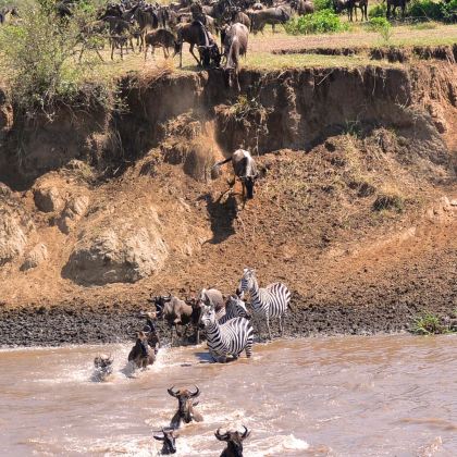 坦桑尼亚塞伦盖蒂+基加利7日6晚私家团 坦桑尼亚塞伦盖蒂+基加利7日6晚私家团