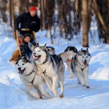 美国夏威夷+阿拉斯加州9日8晚私家团 美国夏威夷+阿拉斯加州9日8晚私家团