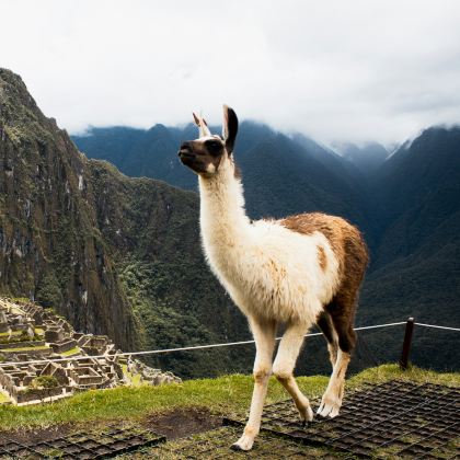 秘鲁+智利8日7晚跟团游 秘鲁+智利8日7晚跟团游