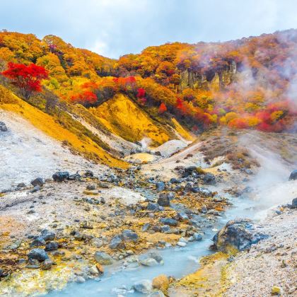 日本大阪+京都+奈良+富士山+东京+北海道10日9晚半自助游