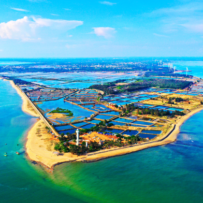 湛江+徐闻+菠萝的海+中国大陆南极村3日2晚私家团 湛江+徐闻+菠萝的海+中国大陆南极村3日2晚私家团