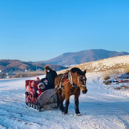 哈尔滨+黑龙江雪乡+亚布力滑雪旅游度假区4日3晚私家团 哈尔滨+黑龙江雪乡+亚布力滑雪旅游度假区4日3晚私家团