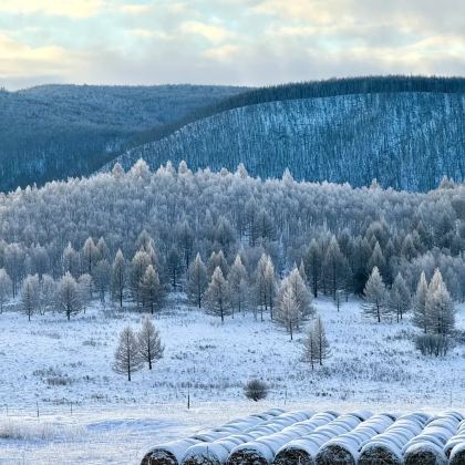 乌兰布统+木兰围场+坝上2日1晚私家团 乌兰布统+木兰围场+坝上2日1晚私家团