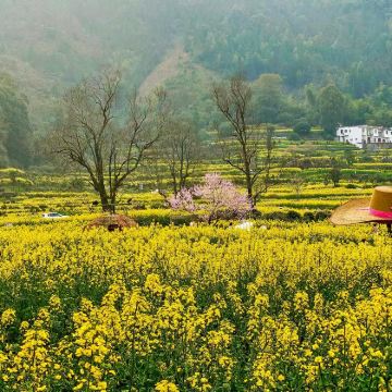 江西望仙谷+婺源篁岭景区+婺女洲度假区+景德镇3日2晚私家团 江西望仙谷+婺源篁岭景区+婺女洲度假区+景德镇3日2晚私家团