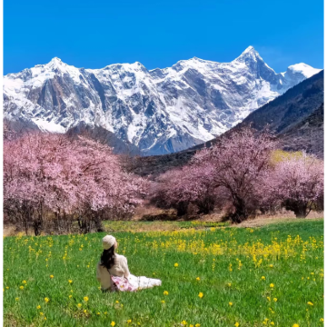 拉萨+林芝+日喀则+布达拉宫+大昭寺+巴松措+珠峰大本营10日9晚拼小团 拉萨+林芝+日喀则+布达拉宫+大昭寺+巴松措+珠峰大本营10日9晚拼小团