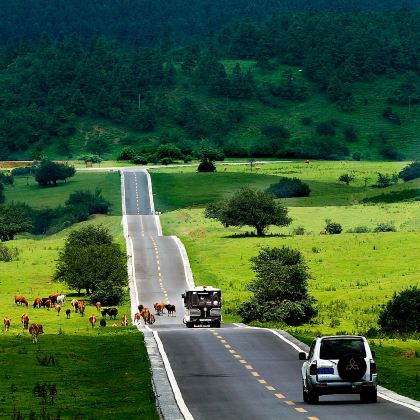 重庆+武隆区5日4晚跟团游 重庆+武隆区5日4晚跟团游