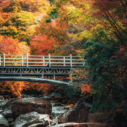 汉中+光雾山旅游景区+米仓山国家森林公园5日4晚私家团 汉中+光雾山旅游景区+米仓山国家森林公园5日4晚私家团