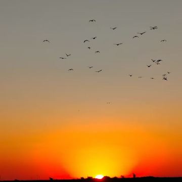 博茨瓦纳+赞比亚10日9晚私家团 博茨瓦纳+赞比亚10日9晚私家团
